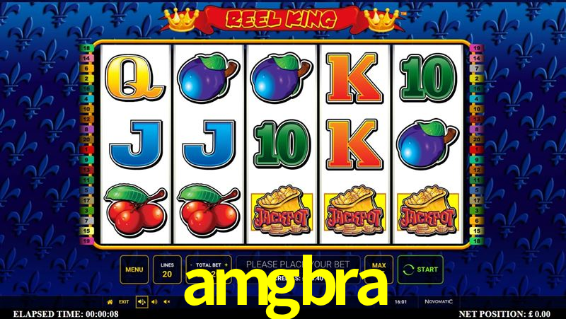 Live Casino amgbra