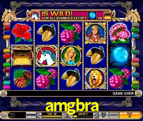 Apostas de Tênis amgbra