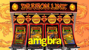 Premium Interface amgbra