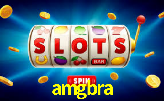 amgbra - Installation Guide